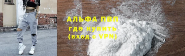 прущие грибы Мегион