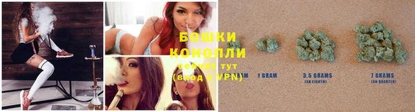 прущие грибы Мегион