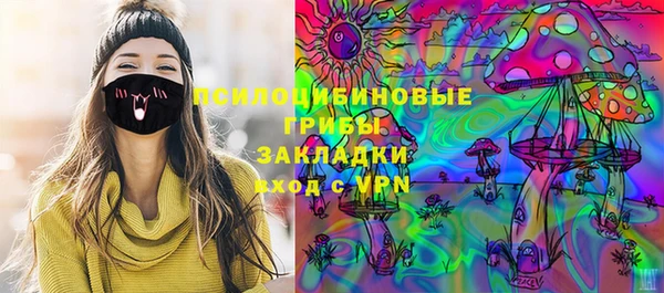 apvp Медвежьегорск