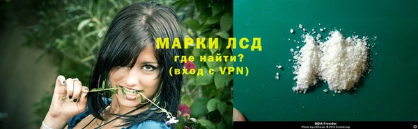 прущие грибы Мегион