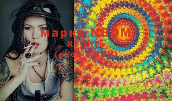 прущие грибы Мегион