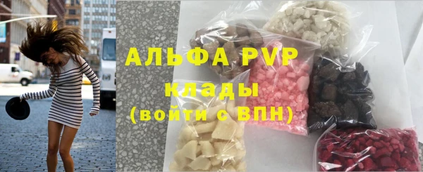 прущие грибы Мегион