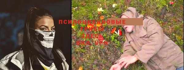 apvp Медвежьегорск