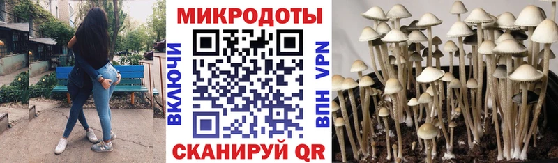 что такое наркотик  Железногорск  Псилоцибиновые грибы MAGIC MUSHROOMS 