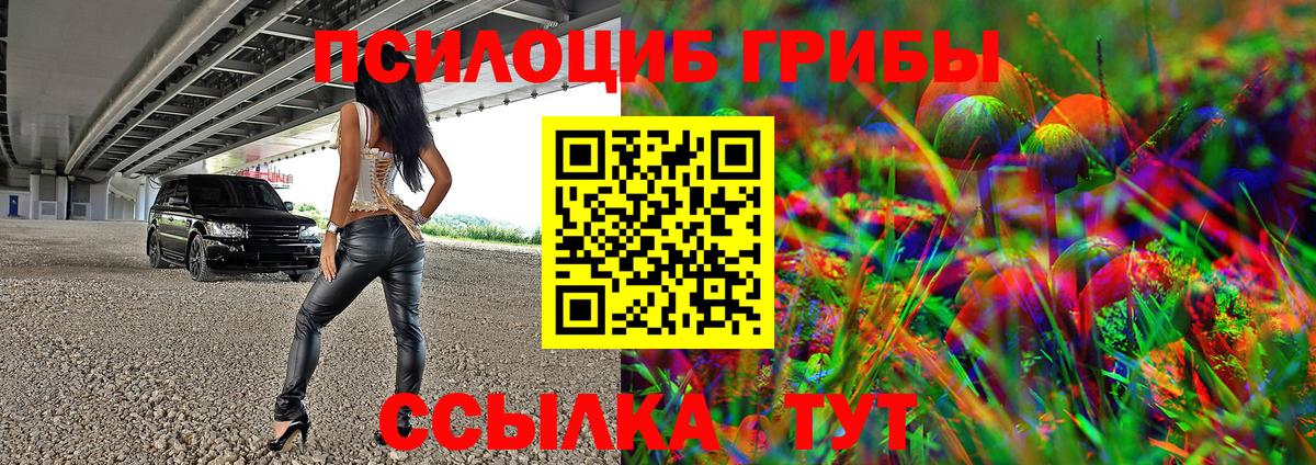 Псилоцибиновые грибы GOLDEN TEACHER  Псилоцибиновые грибы Psilocybine cubensis  Железногорск 