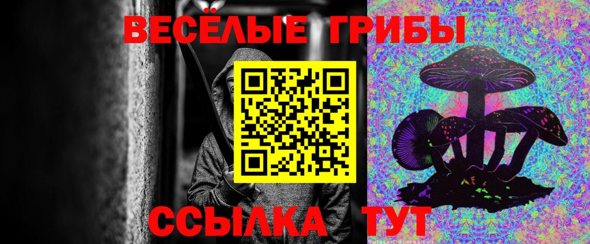 Псилоцибиновые грибы прущие грибы Железногорск