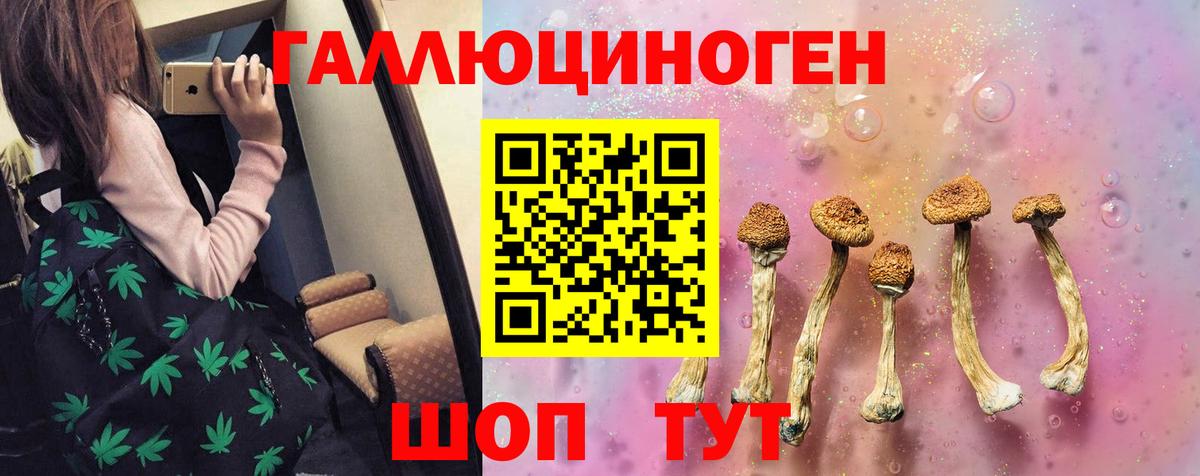 Псилоцибиновые грибы GOLDEN TEACHER  Вход с VPN  Железногорск 
