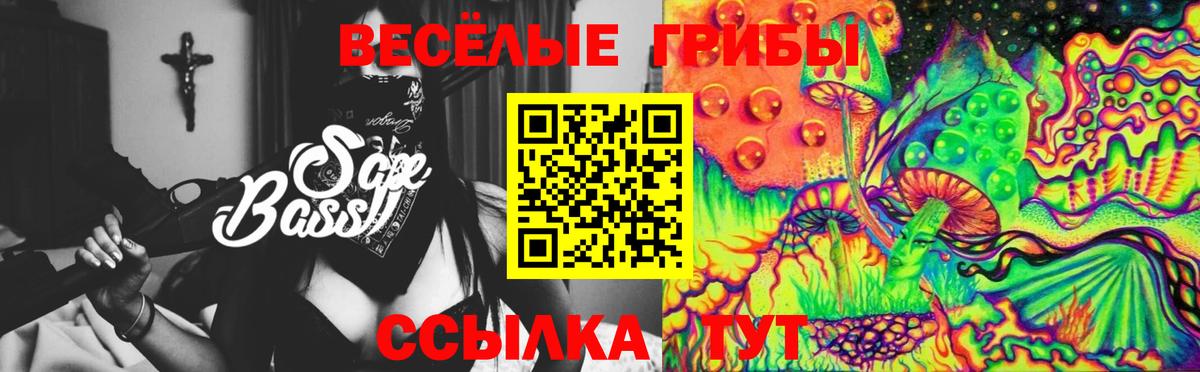 Псилоцибиновые грибы Железногорск