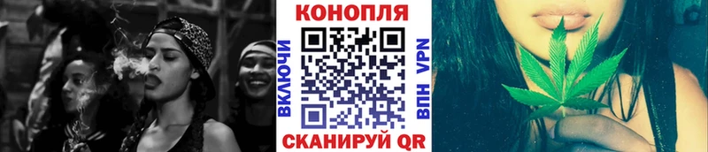 Бошки марихуана планчик  наркота  МЕГА вход  Железногорск 